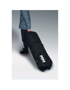 SV1-73 SOFTCASE