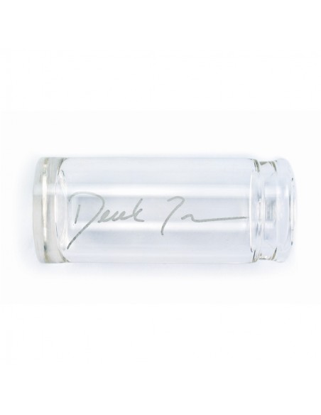 DT01 DEREK TRUCKS M. Glisser