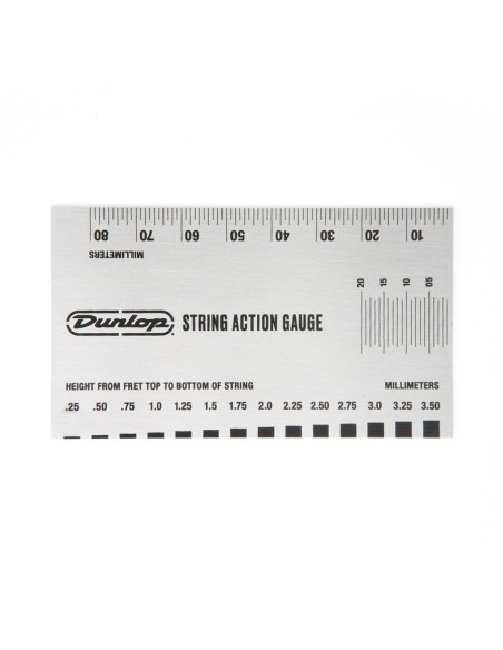 Système de jauge d'action DGT04 65