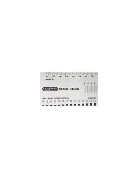 Système de jauge d'action DGT04 65