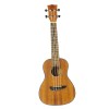 Uku Duo Ukulele Concerto
