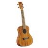 Uku Duo Ukulele Concerto