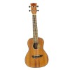 Uku Duo Ukulele Concerto