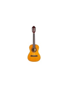 CS-2 Natural 2