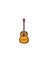 CS-10 Sunburst