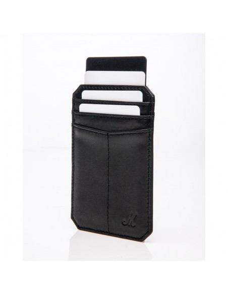 Portefeuille d' Access toutes les zones ACCS-00222