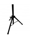 MS/332 Leggio Orchestra