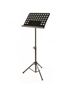 MS/330 W/Bag Leggio Orchestra