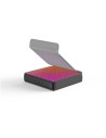 Snapcase uniquement