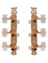 Clavijas para guitarra clásica EZ1779G 1+1 doradas, 2 unidades