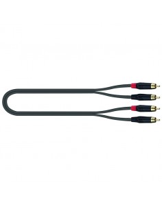JUST/4RCA-5