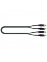 JUST/4RCA-5