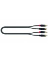JUST/4RCA-5