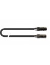 ITST/MF-5 XLR mâle/XLR femelle