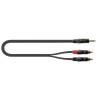 ITST/J352RCA-2 Buchse Stereo/2 Cinch M