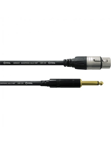 CCM 10 FP