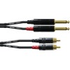 CFU 6 PC