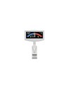 Cuervo de pico AW-4G-WH