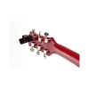 Afinador de pinza Pitchclip 2+