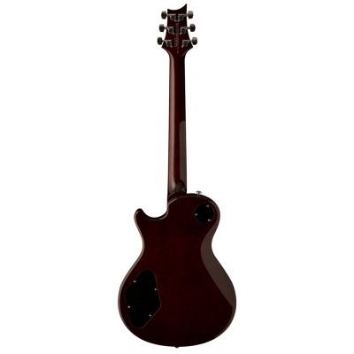 PRS SE STANDARD 245 Birds... 2