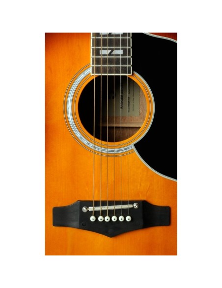 EKO RANGER VI VR EQ HONEY BURST
