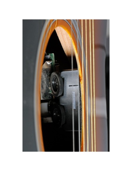 EKO RANGER VI VR EQ HONEY BURST