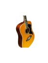 Eko Ranger VI VR Natural Top Stained