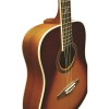 Eko One D Vintage Burst