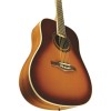 Eko One D Vintage Burst