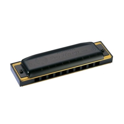 Hohner Pro Harp REb Db... 2