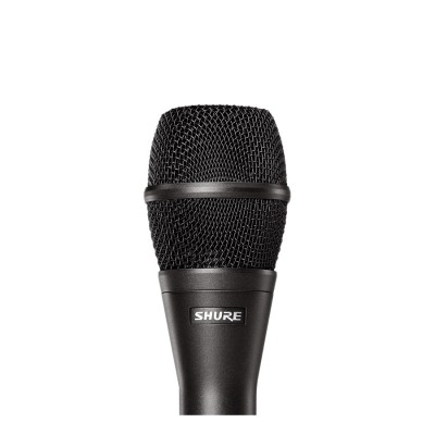 Shure KSM9-CG Microfono... 2