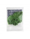 418R Tortex Standard Green .88