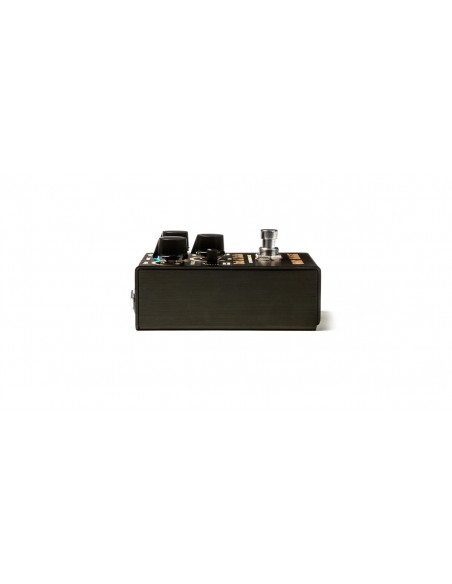 WM91 Pork & Pickle Buss Overdrive & Fuzz