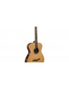 Evo A350e Baritone