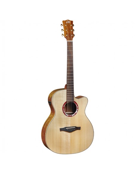 Alpen J450ce