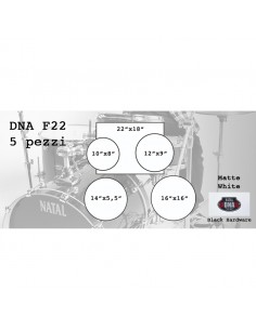 DNA F22 5 pieces Matte... 2