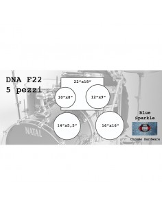 DNA F22 5 piezas con brillo... 2