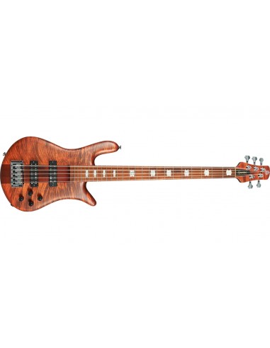 NS Euro 5 RST Sienna Stain Matte