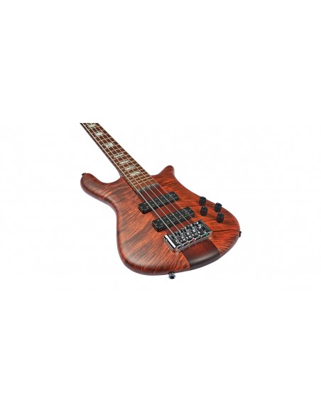 NS Euro 5 RST Sienna Stain Matte