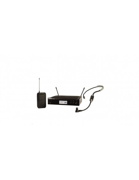 BLX14RE-SM35 BLX4RE, BLX1, SM35-TQG wireless system. (M17)