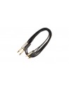 JUST/2RCA2J-5