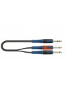 RKSA/100-2 jacks stéréo/2 jacks mono