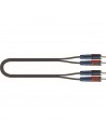 RKSA/110-1 - 2 RCA Maschio/2 RCA Maschio