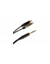 JUST/JS2RCA-2