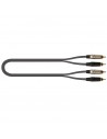 SOLO/4RCA-1