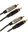JUST/4RCA-2