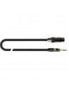 ITST/FJS-2 XLR Femmina/Jack Stereo
