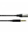 CCM 5MP