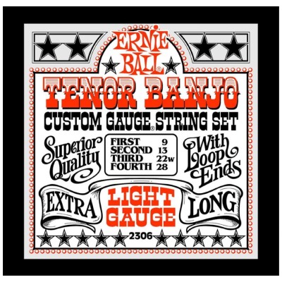 Ernie Ball 2306 - Tenor...