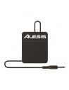 ASP-1 SUSTAIN PEDAL
